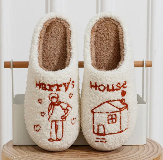 Harry house slippers